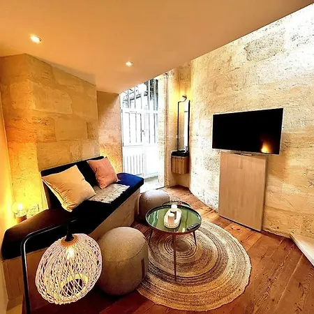 T1 Bis Au Coeur Du Centre Historique *